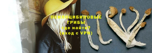 мескалин Осташков