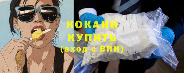 крисы Осинники