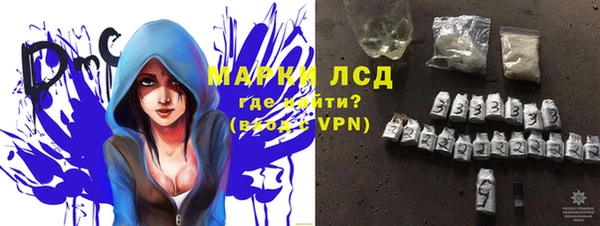крисы Осинники