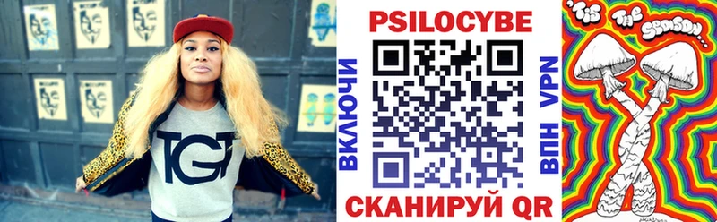 Псилоцибиновые грибы GOLDEN TEACHER  магазин продажи наркотиков  Заполярный 